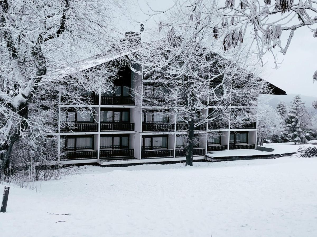 Winterwohnung Almberg Mitterfirmiansreut Buitenkant foto