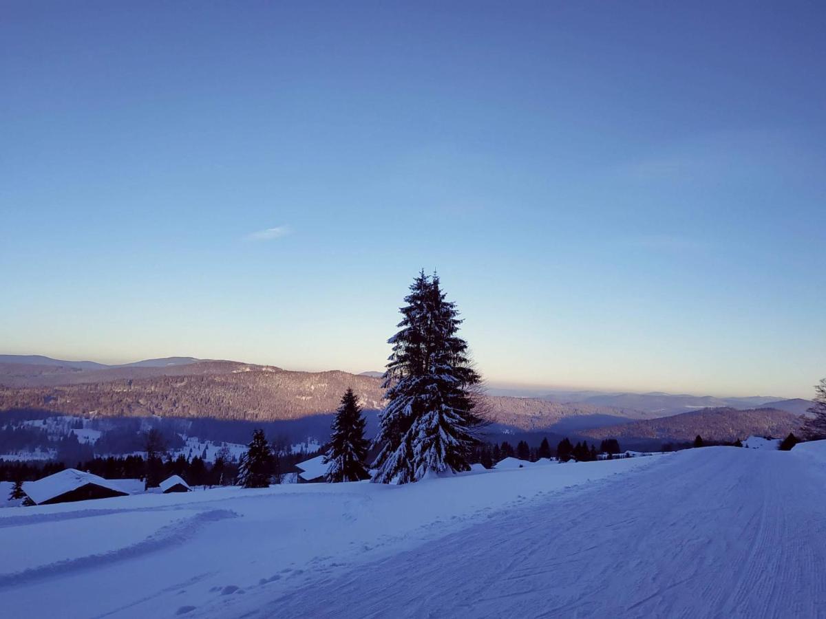 Winterwohnung Almberg Mitterfirmiansreut Buitenkant foto