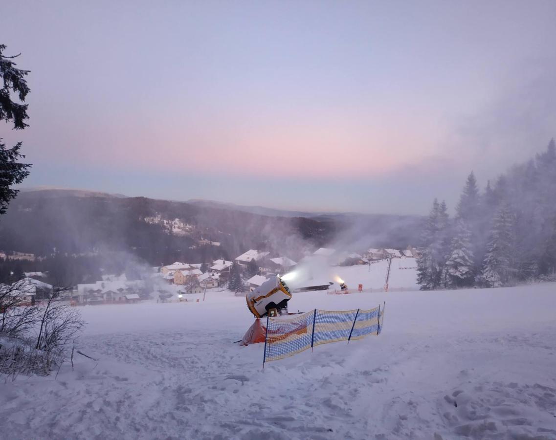 Winterwohnung Almberg Mitterfirmiansreut Buitenkant foto