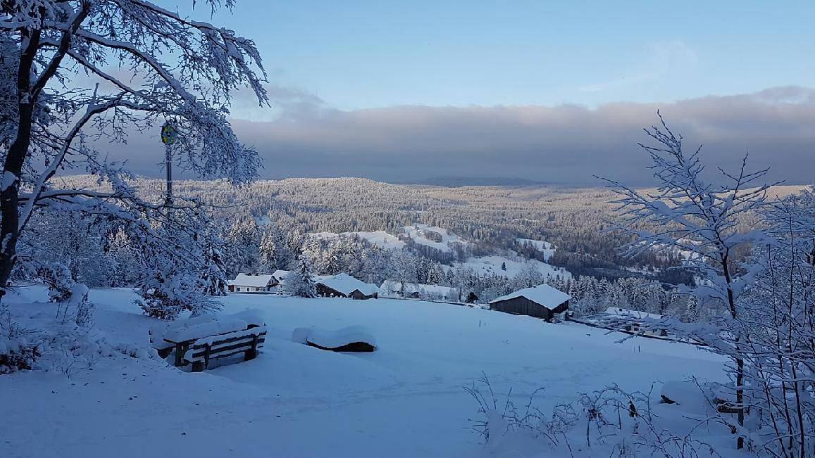 Winterwohnung Almberg Mitterfirmiansreut Buitenkant foto